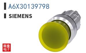 A6X30139798