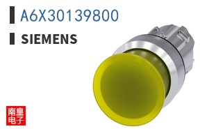 A6X30139800