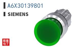 A6X30139801