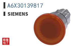 A6X30139817