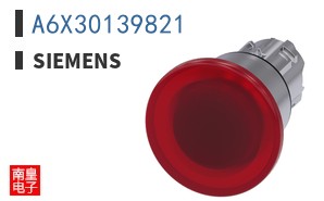 A6X30139821