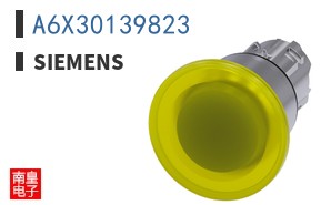 A6X30139823