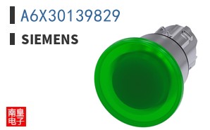 A6X30139829