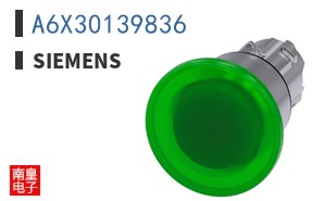 A6X30139836