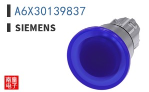 A6X30139837
