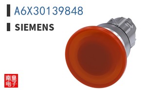 A6X30139848