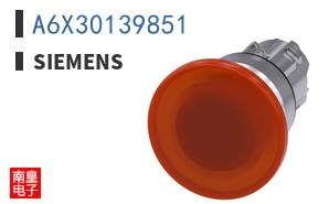 A6X30139851