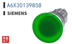 A6X30139858