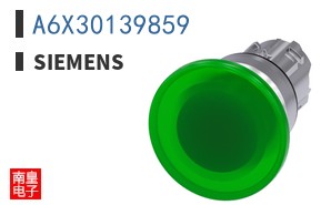A6X30139859