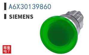 A6X30139860