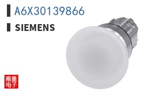 A6X30139866