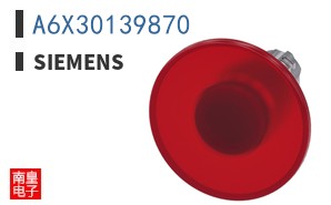 A6X30139870