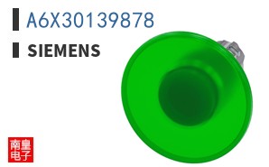 A6X30139878