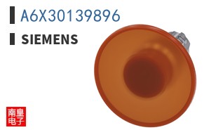 A6X30139896