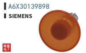 A6X30139898