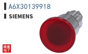 A6X30139918