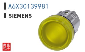 A6X30139981