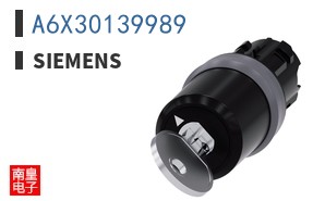 A6X30139989