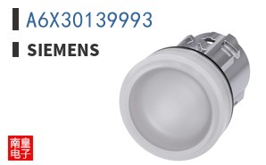 A6X30139993