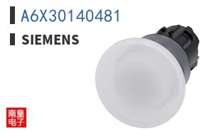A6X30140481