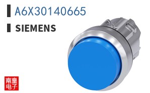 A6X30140665