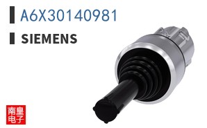 A6X30140981