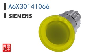 A6X30141066