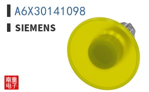 A6X30141098