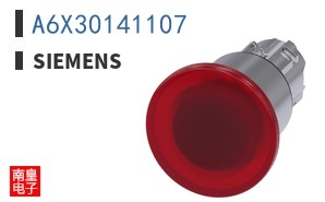 A6X30141107