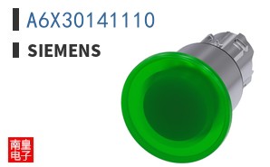 A6X30141110