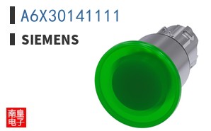 A6X30141111