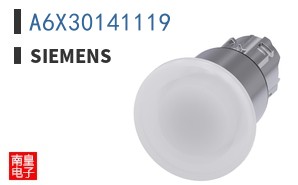 A6X30141119