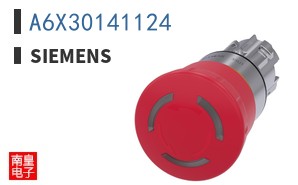 A6X30141124