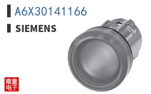 A6X30141166