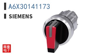 A6X30141173