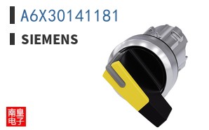 A6X30141181