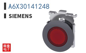 A6X30141248
