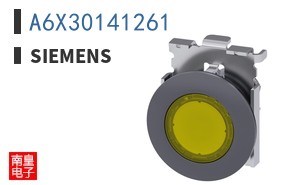 A6X30141261