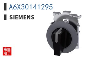 A6X30141295