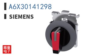 A6X30141298