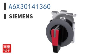 A6X30141360