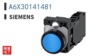 A6X30141481