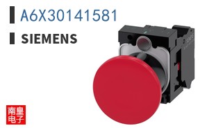A6X30141581
