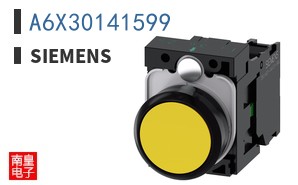 A6X30141599
