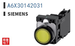 A6X30142031