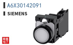 A6X30142091