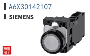 A6X30142107