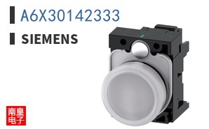 A6X30142333