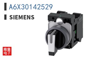 A6X30142529