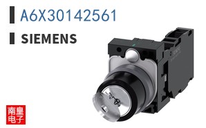 A6X30142561